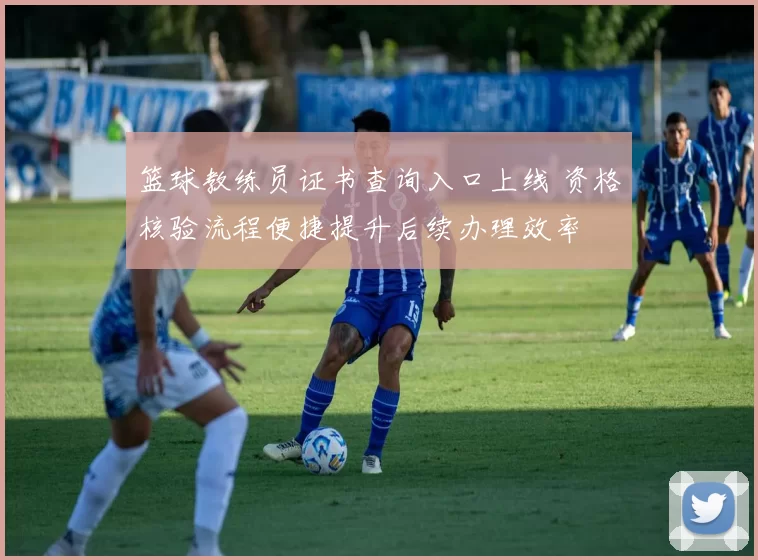 篮球教练员证书查询入口上线 资格核验流程便捷提升后续办理效率