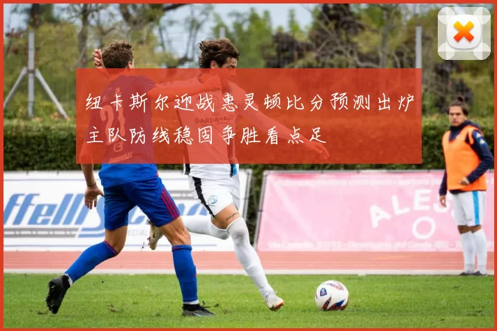 纽卡斯尔迎战惠灵顿比分预测出炉主队防线稳固争胜看点足