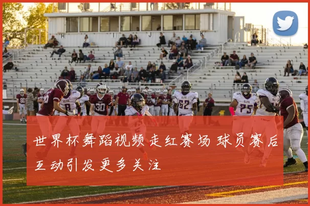 世界杯舞蹈视频走红赛场 球员赛后互动引发更多关注