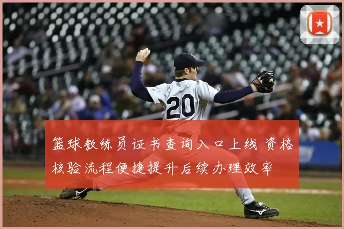 篮球教练员证书查询入口上线 资格核验流程便捷提升后续办理效率