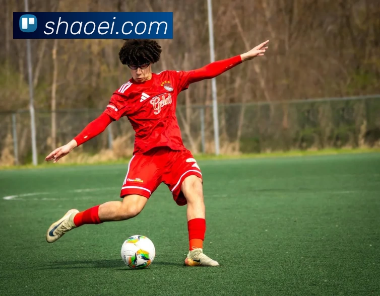 九游9官网平台生态图